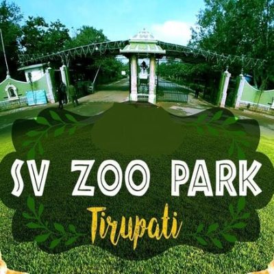 ZOO Park